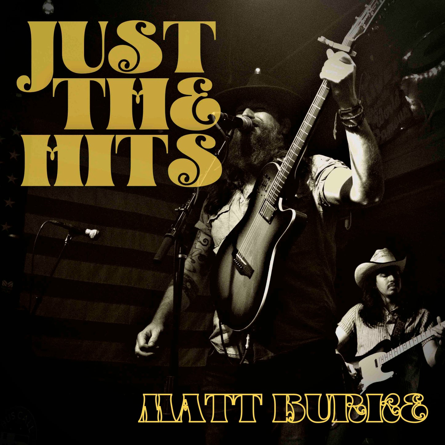 JUST THE HITS CD - BLACK FRIDAY SPECIAL